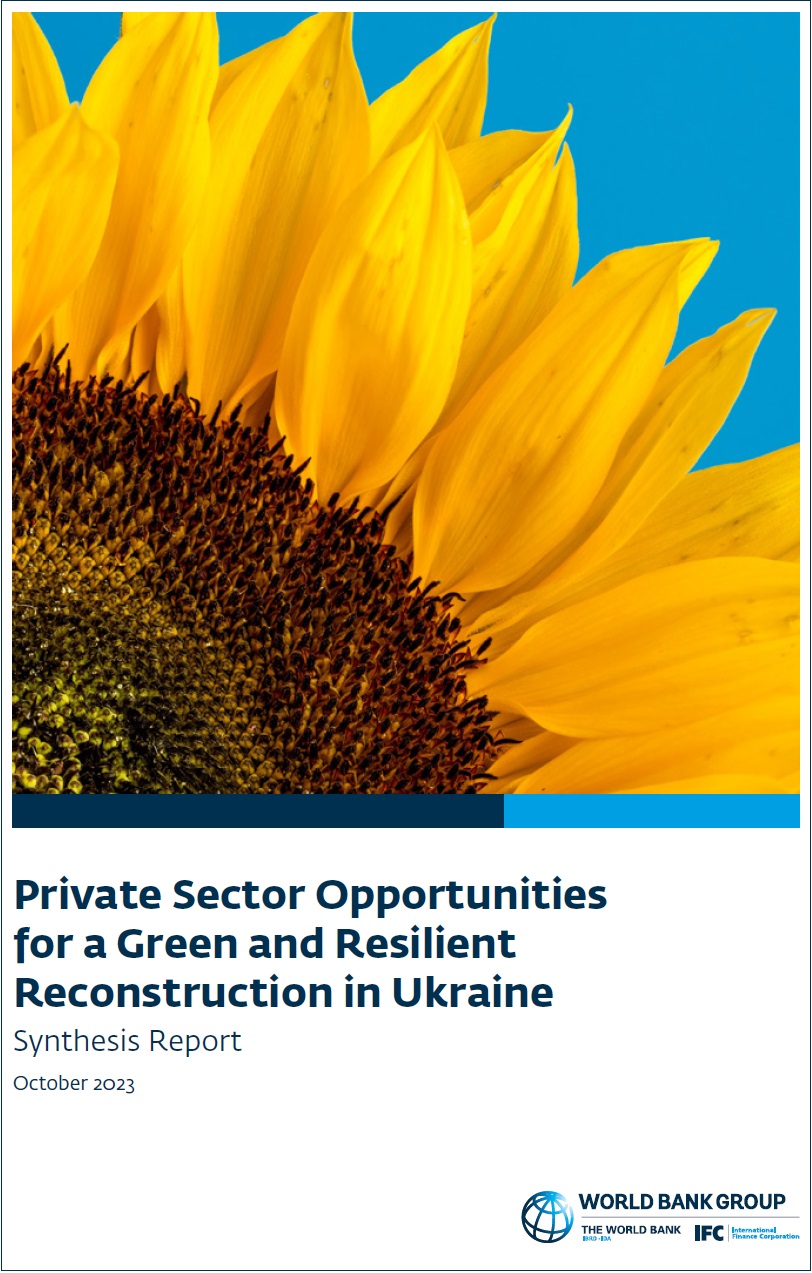 Private Sector Opportunities For A Green And Resilient Reconstruction