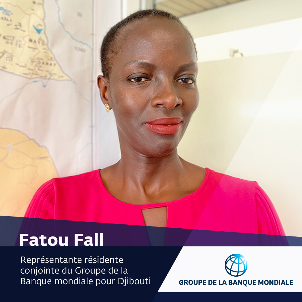 French IFC Profile-Fatou Fall.png